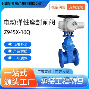 軟密封電動閘閥Z945X-16Q  DN200(型號及規(guī)格