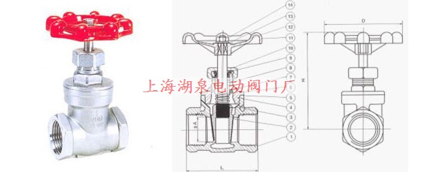 Z11W-16/25P不銹鋼絲扣內(nèi)螺紋閘閥結構圖片